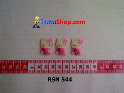 rsn 544  large2